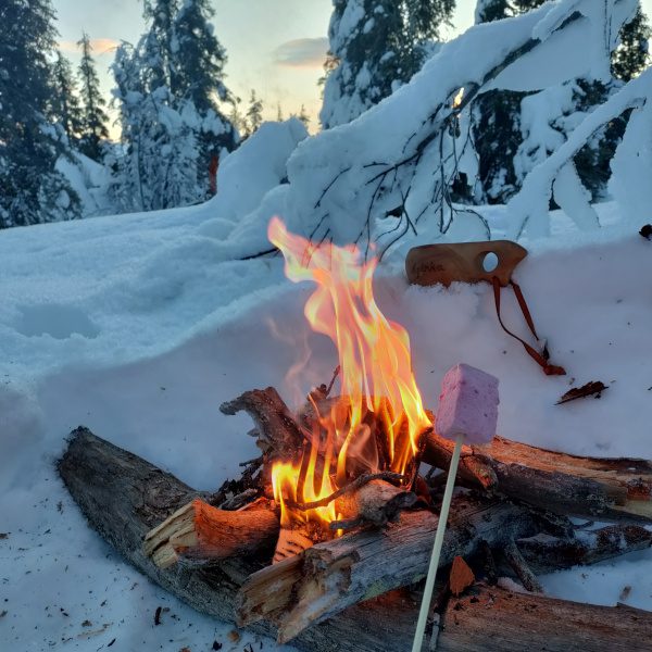 Grilling marshmellows on campfire